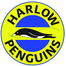 Harlow Penguins