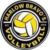 Harlow Bravos Volley Ball